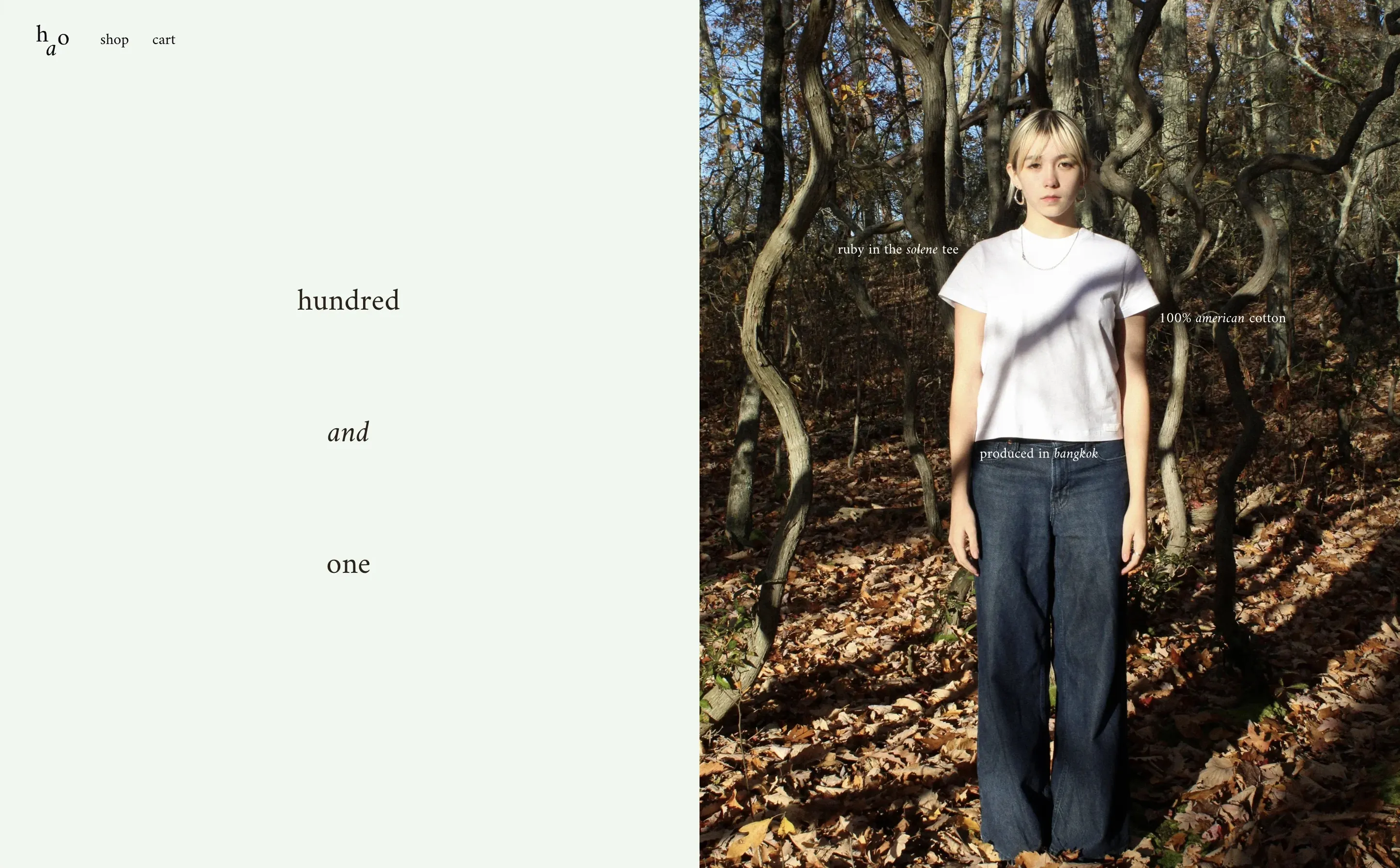 hundred and one homepage with split layout,brand text and editorial photography